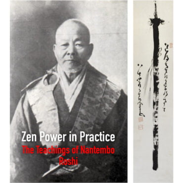 Zen Power in Practice: The Teachings of Nantembo Roshi Download